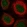 Anti-TTC33 Antibody