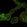 Anti-ZNF302 Antibody