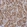 Anti-SEC23IP Antibody