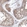 Anti-SEC23IP Antibody