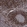 Anti-ADK Antibody