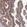Anti-NHLRC2 Antibody