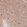 Anti-STX6 Antibody