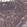 Anti-UBASH3B Antibody