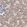 Anti-TOLLIP Antibody