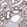 Anti-MSANTD2 Antibody