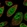 Anti-MSANTD2 Antibody