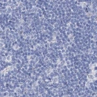 Immunohistochemical staining of human lymph node using Anti-ACRV1 antibody HPA038719.