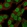Anti-CDK2AP2 Antibody