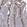 Anti-NEK10 Antibody