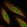 Anti-NEK10 Antibody