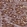 Anti-NUDT15 Antibody