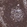 Anti-DEF6 Antibody