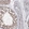 Anti-RNF44 Antibody