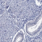Immunohistochemical staining of human endometrium shows low expression as expected.