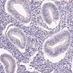 Immunohistochemical staining of human endometrium shows low expression as expected.