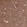 Anti-TUBA1A Antibody