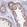 Anti-DIS3 Antibody