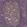 Anti-DIS3 Antibody