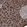 Anti-NUDT22 Antibody