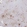 Anti-INTS13 Antibody