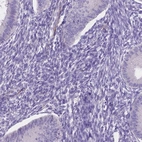 Immunohistochemical staining of human endometrium shows low expression as expected.