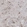 Anti-RIN3 Antibody