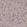 Anti-NELFA Antibody