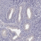 Immunohistochemical staining of human endometrium shows low expression as expected.