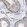 Anti-PHB2 Antibody