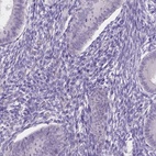 Immunohistochemical staining of human endometrium shows low expression as expected.