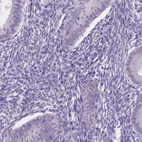 Immunohistochemical staining of human endometrium shows low expression as expected.