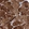 Anti-UBE3C Antibody