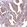 Anti-GPR176 Antibody