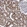 Anti-TIMM10 Antibody