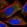 Anti-CLPX Antibody