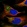 Anti-PTPMT1 Antibody