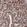 Anti-KLF5 Antibody