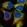 Anti-C15orf52 Antibody