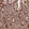 Anti-DYNC1I2 Antibody