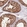 Anti-DYNC1I2 Antibody