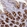 Anti-DMBT1 Antibody