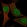 Anti-PCF11 Antibody