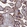 Anti-STRA6 Antibody
