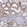 Anti-STRA6 Antibody