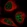 Anti-ADAT1 Antibody