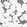 Anti-CPNE2 Antibody
