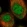 Anti-C16orf46 Antibody