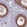 Anti-ZSWIM1 Antibody