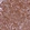 Anti-ENKD1 Antibody